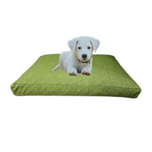 Hondenkussen 60 x 40