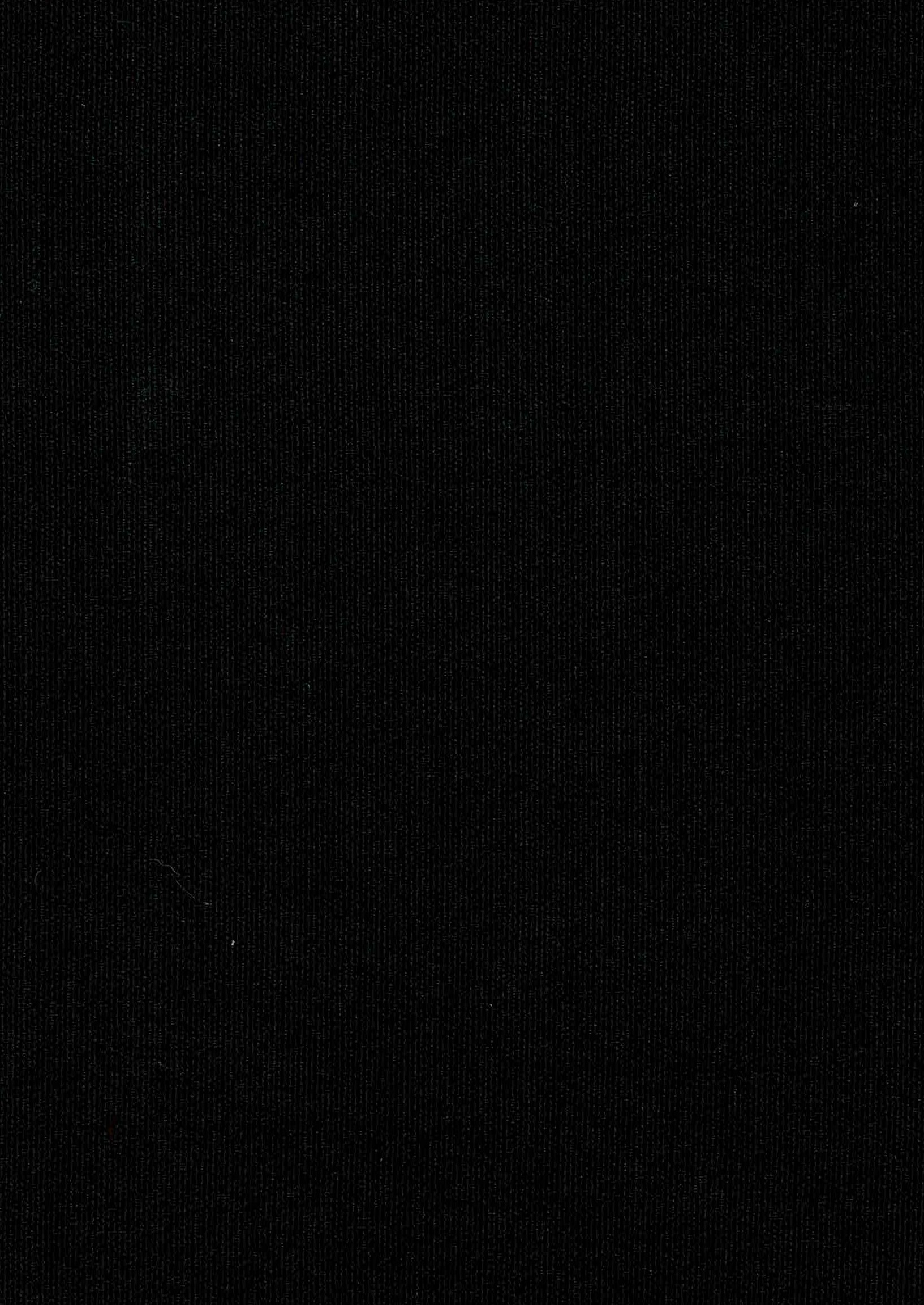 Chicago Zwart WA 2 Chicago Zwart WA - Afbeelding 2