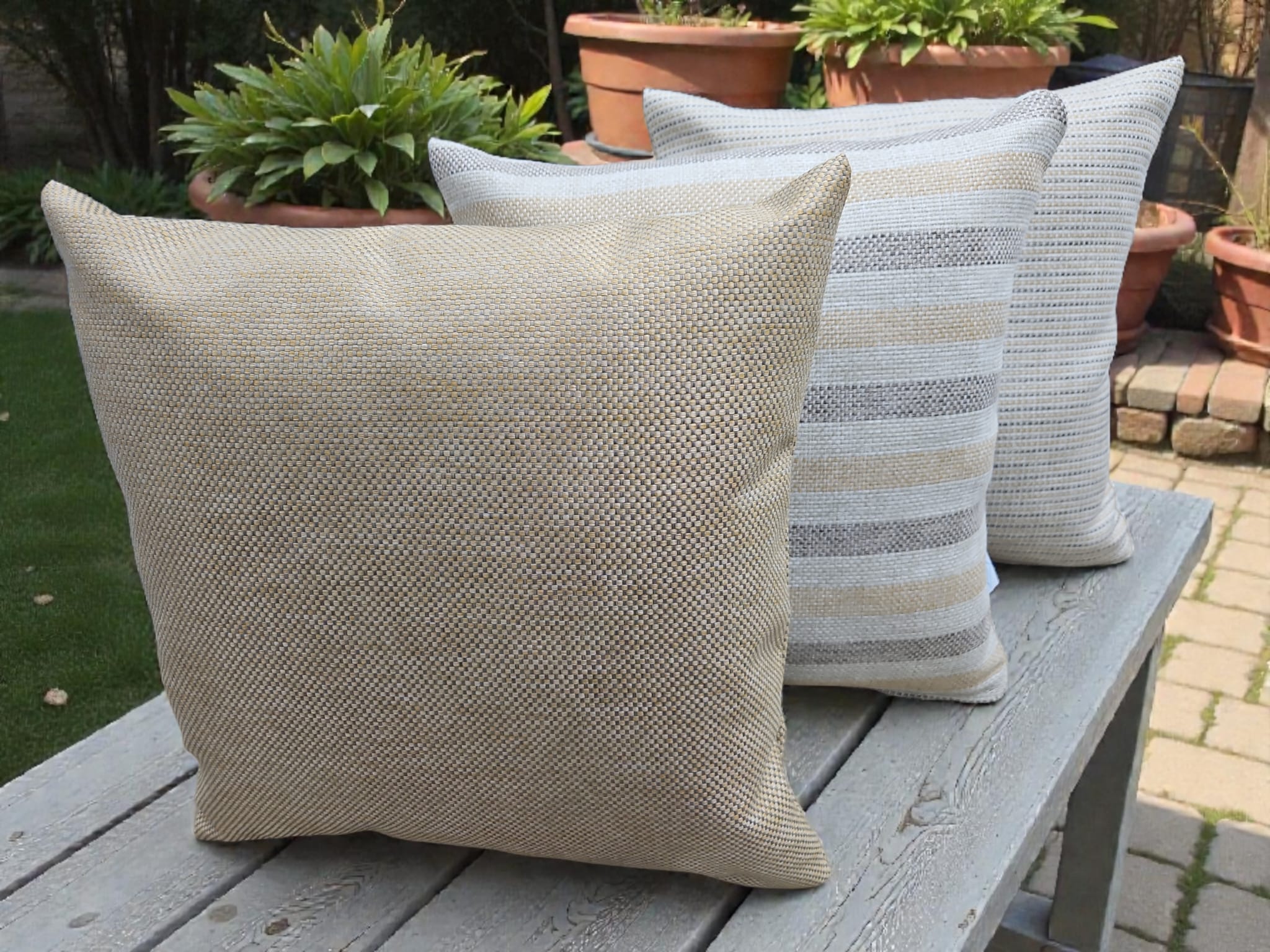 Seine Corn 1 Seine Corn